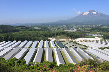 岩手ファーム写真1