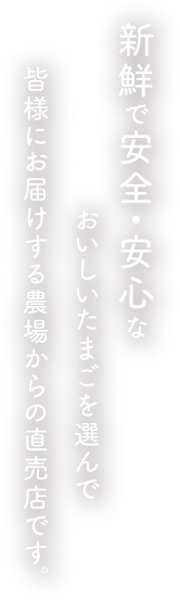 新鮮で安全・安心なおいしいたまごを選んで皆様にお届けする農場からの直売店です。